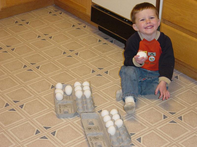 tyler_sorting_eggs1