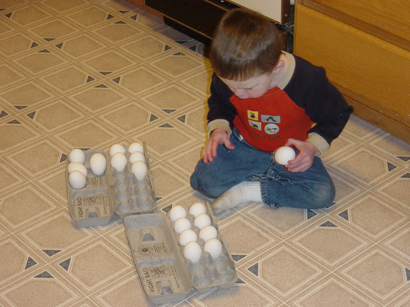 tyler_sorting_eggs2